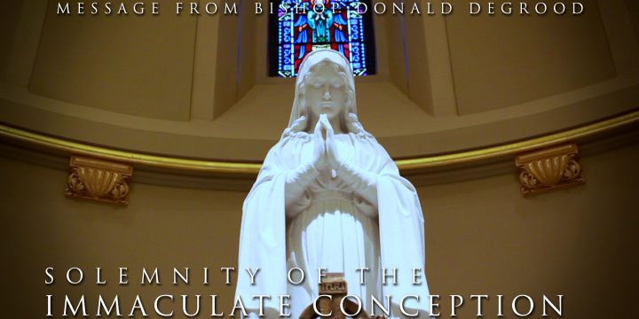Message to the Faithful on this Solemnity of the Immaculate Conception