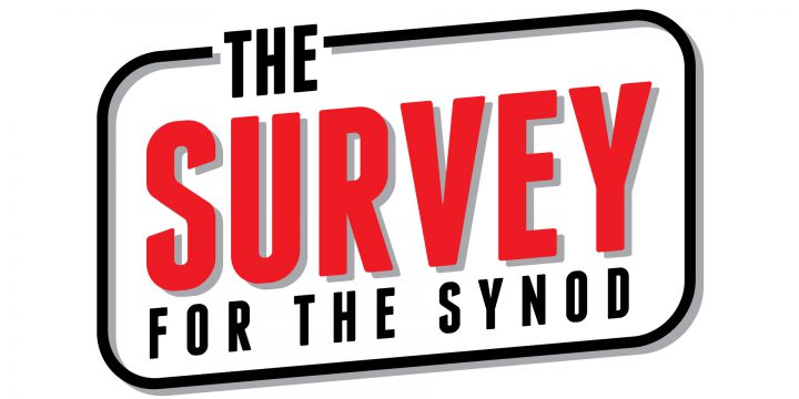 The Survey on Synodality