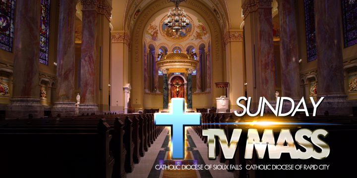 Sunday TV Mass – September 3, 2023